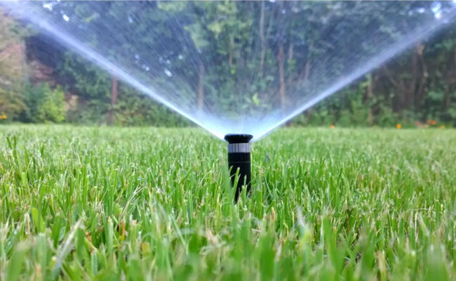 lawn-irrigation-inspection